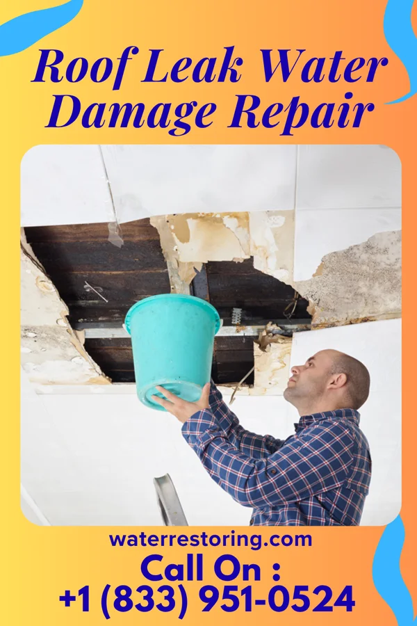 Roof Leak Water Damage Repair in Bridgewater, SD